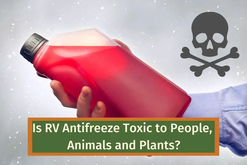 is rv antifreeze toxic