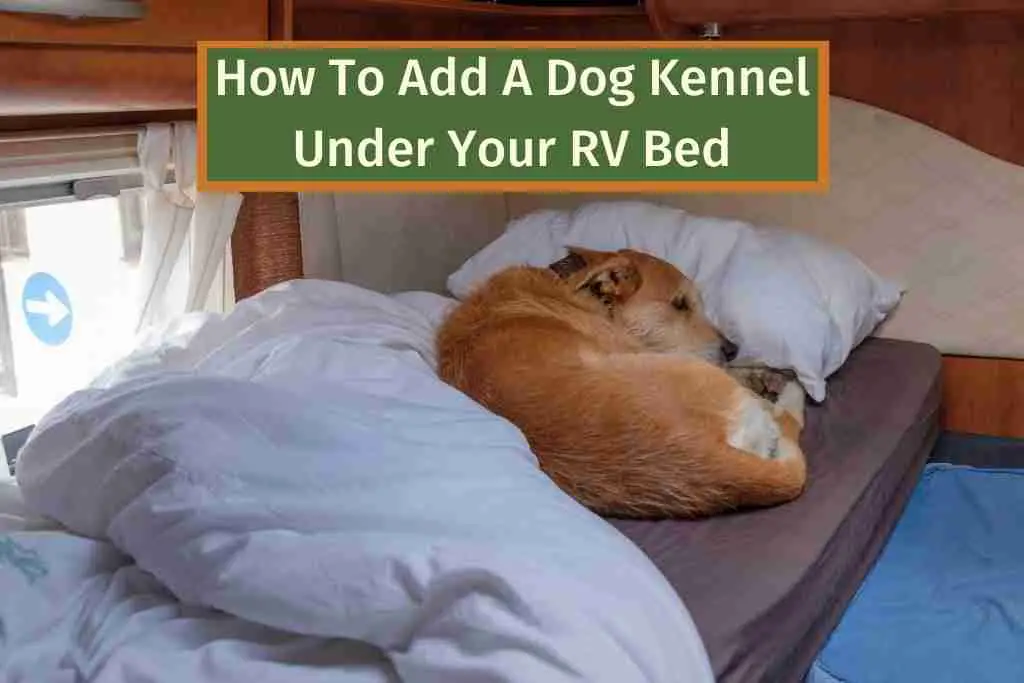 How To Add A Dog Kennel Under Your RV Bed
