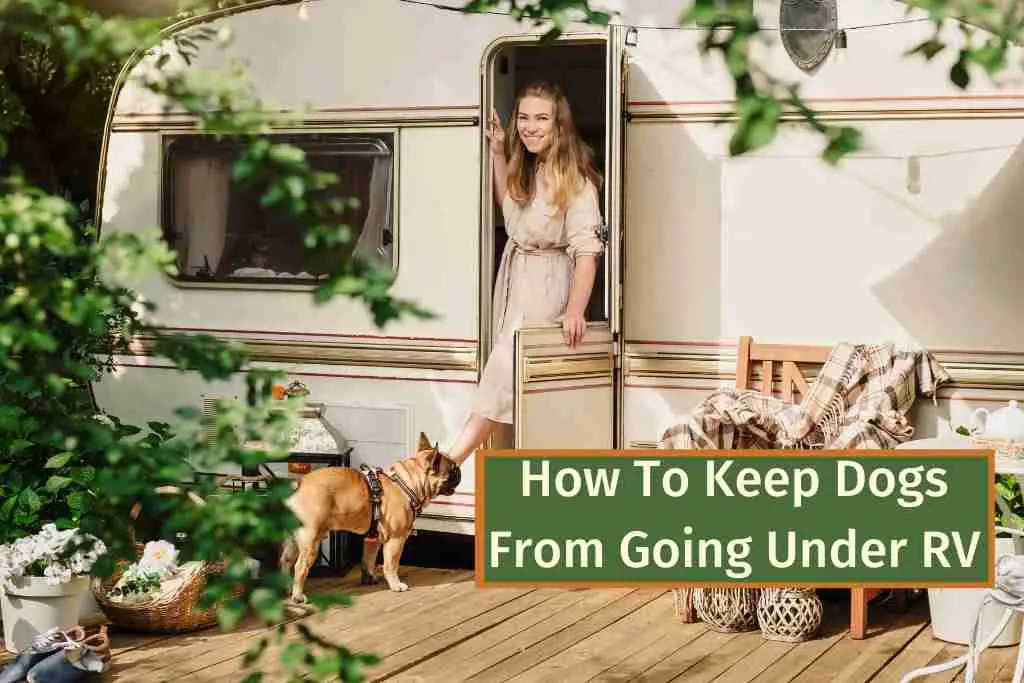 How To Keep Dogs From Going Under RV